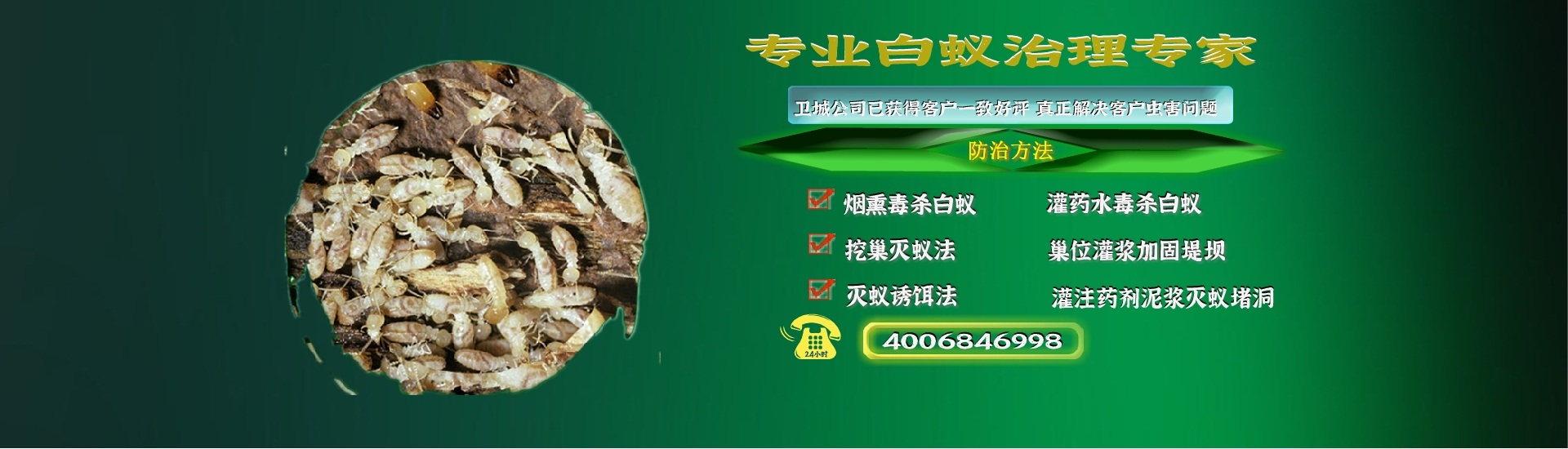 惠州白蟻防治,惠州白蟻防治中心